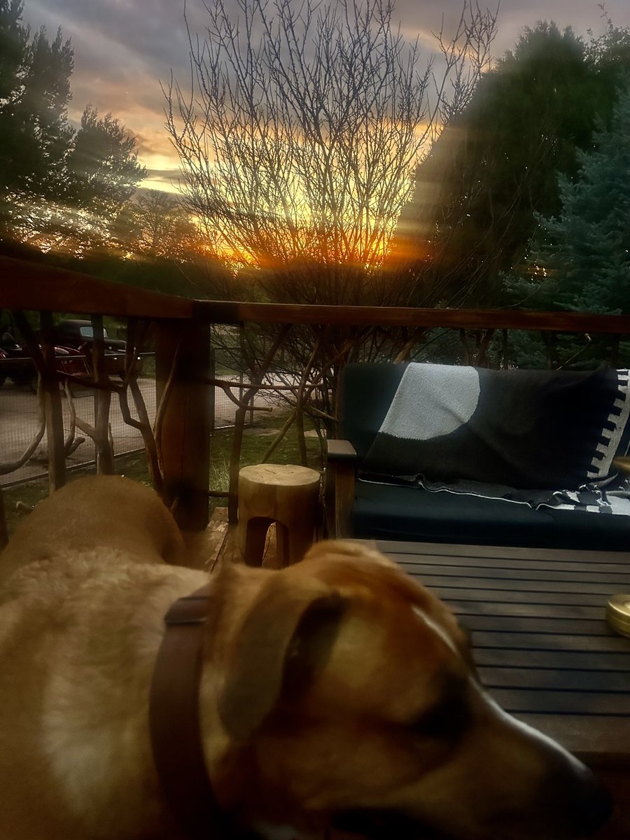azsweetheart013's tweet image. This is a moment of zen.Big Rose, a cool breeze, my beautiful husband sitting next to me in the middle of nowhere.