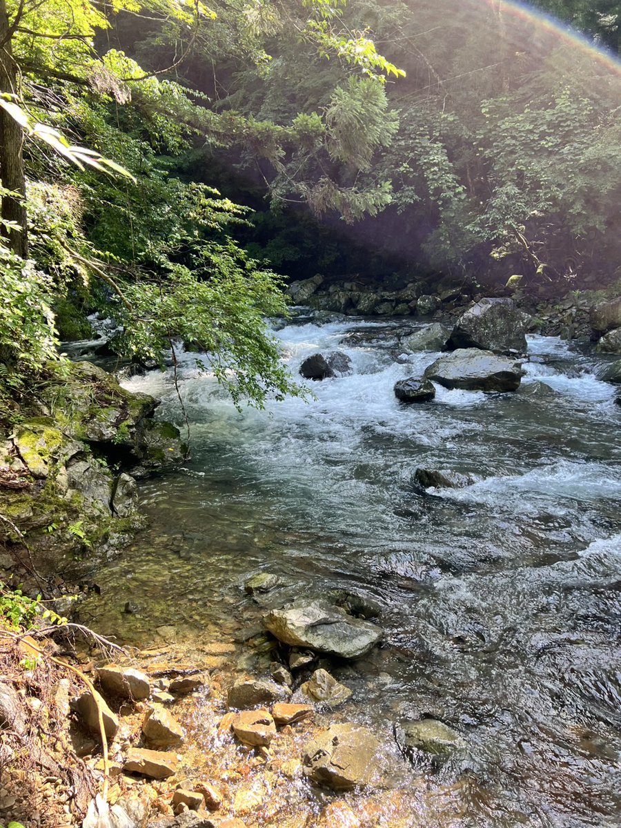 charinco_off's tweet photo. 「万歳の滝」へのチャレンジ🚵

肝心の滝は水量が多く川の中ほどの巨石の上まで激流になっており木も生い茂り見る事が出来ませんでした😭
清流にドボンしようと思ってましたが水量が多く激流の為断念

涼しいげな山の風景をお届けします🥳

#besv #vittoriaridearmor #bikeguy
#ベスビー #jr1 #ebike https://t.co/dwr5uieT5k