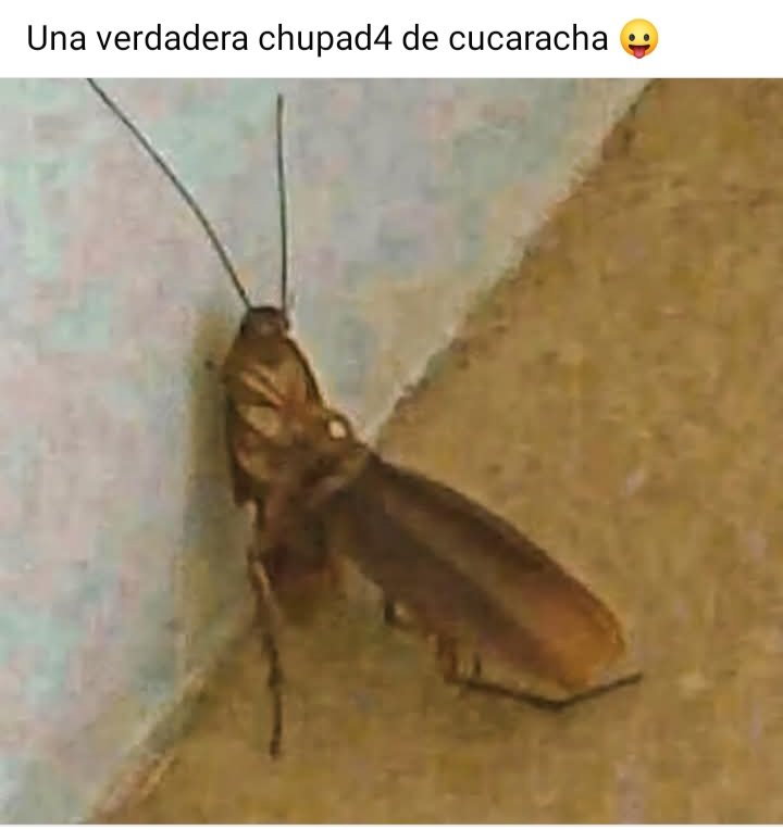 elpavitometich's tweet image. No lo se, tu y yo así.. piénsalo.