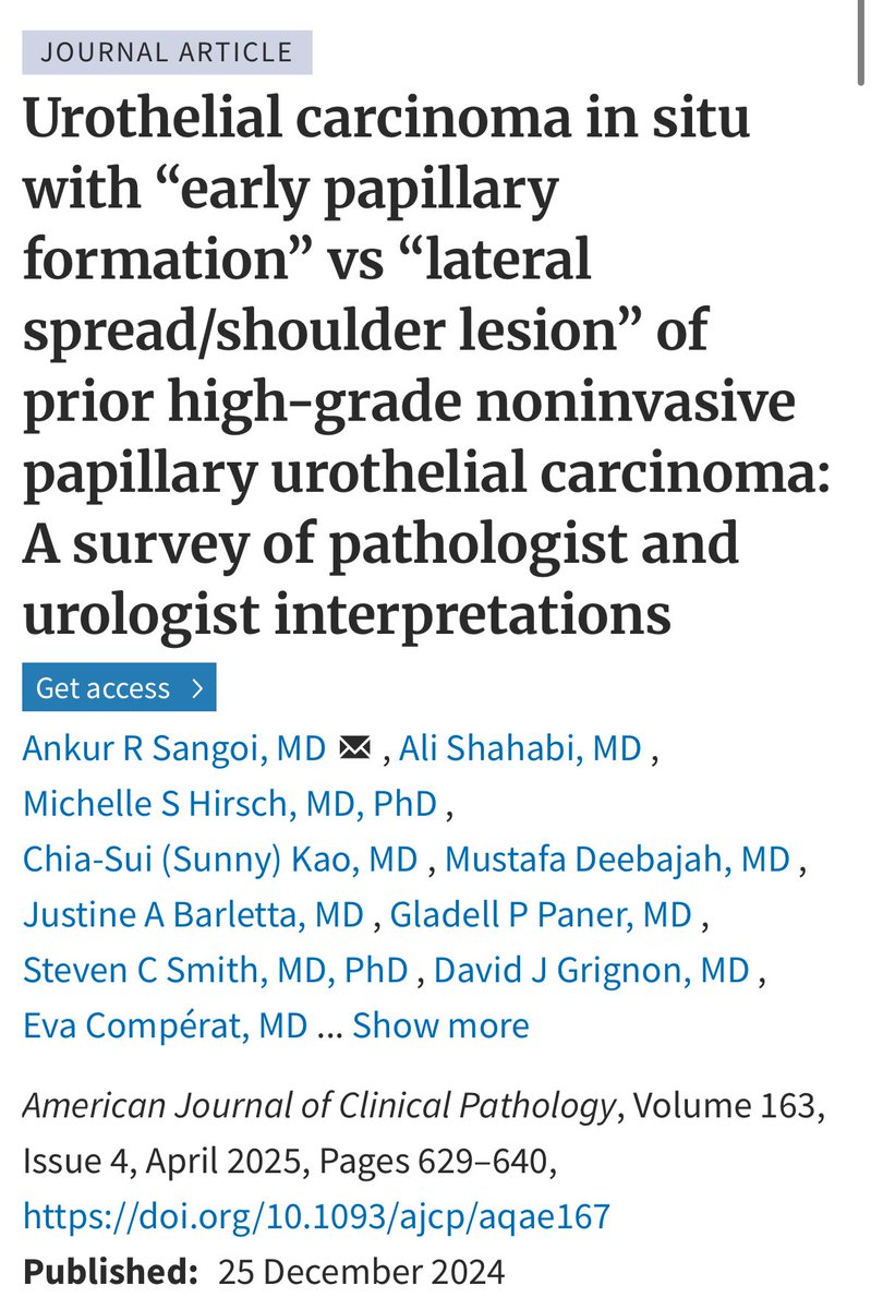 Ankur Sangoi (@slusagar) on Twitter photo <a href="/daniel_berney/">Daniel Berney</a> <a href="/MichelleDunno17/">Michelle_Hirsch (Donovan)</a> couldn’t agree more!
study we did on this topic 👇🏽
doi.org/10.1093/ajcp/a… <a href="/daniel_berney/">Daniel Berney</a> <a href="/MichelleDunno17/">Michelle_Hirsch (Donovan)</a> couldn’t agree more!
study we did on this topic 👇🏽
doi.org/10.1093/ajcp/a…