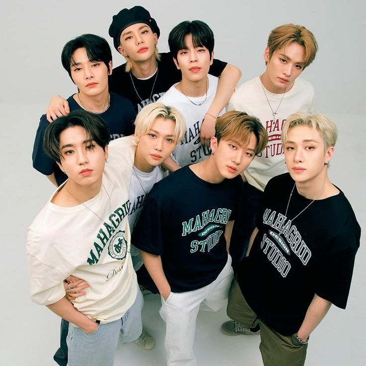 nin1sta's tweet image. 🏆 — TUTORIAL SUPER MEGA URGENTE: ¿COMO VOTAR POR STRAY KIDS EN LOS "K-WORLD DREAM AWARDS"?