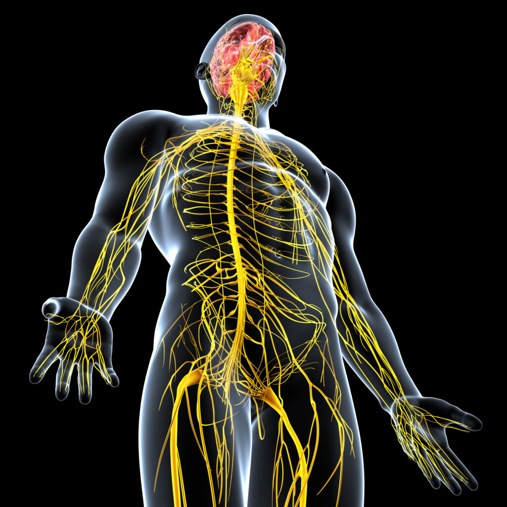 hovinthenorth's tweet image. In Armenian we don’t say “he’s super stressed out” when someone acts out.
We say “he has a nervous system disease”🦠
It’s so accurate 🎯