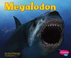 🦈 Did someone say Shark Week?!
Sink your teeth into some real prehistoric treasures!
🦴 From Megalodon teeth to ancient shark vertebrae —
Explore our fossil shark collection here:
prehistoricfossils.com/?s=shark&et_pb…  

 #FossilSale #MarineFossils #AncientOceans #SharkLovers #ScienceIsCool