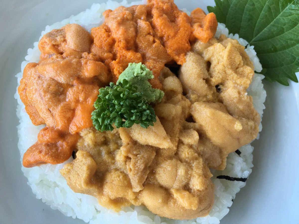 uhb_gohatto's tweet image. 道民の皆様が思われる
夏くらいが特に美味しい
北海道の海鮮といえば
どの辺りだったりされますか。
私は何とか仕事を頑張って
今年も一回だけはウニを…何とか…。