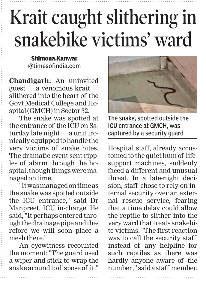 shimonakTOI's tweet image. Hiss , the snake outside the ICU where often snake bite victims are admitted! #Chandigarh. Swift action taken by a security guard. Need for an emergency helpline to catch snakes @chandigarh_admn @Gulab_kataria @timesofindia