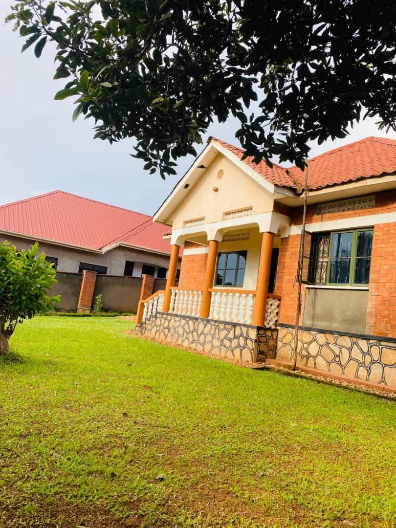 TrustPropertyUg's tweet photo. House On Quick  Sale;
#3Bedrooms #2Bathrooms in #Kajjansi_Entebbe road Selling #360M 
with ample parking space and Seated on #25Decimals, located in the well organized neighborhood, Ready approved land tittle,
 For more information 🗣📲📞 us:+256777-555920/
0754133332 https://t.co/gc4a8URXdo