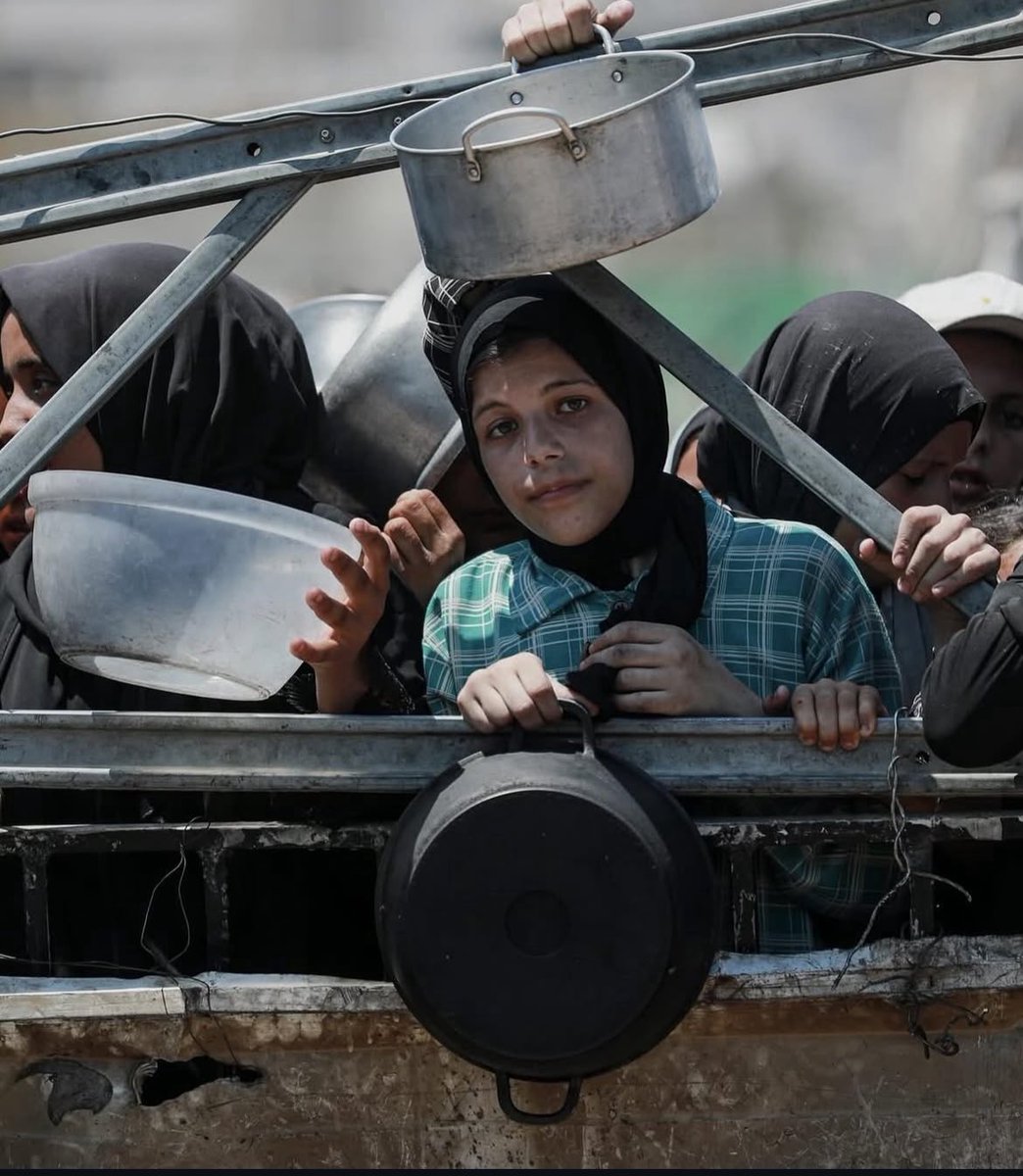 mohamed_masrih's tweet image. Gaza is being exterminated