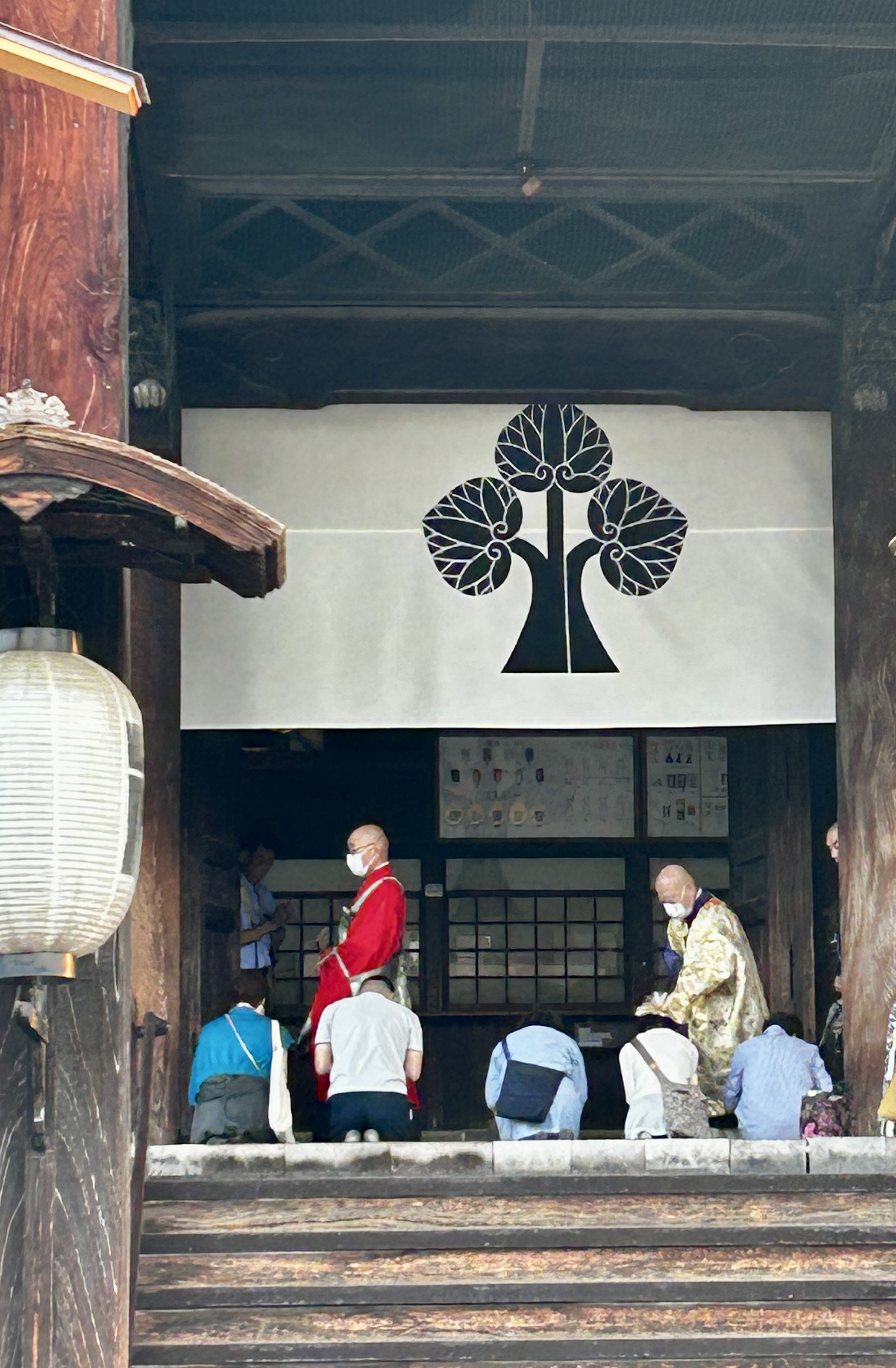 きょうのすぴか - অনুসন্ধান / X