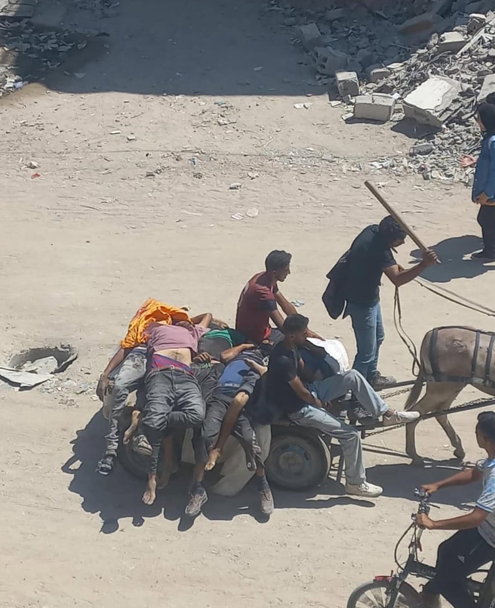 mohamed_masrih's tweet image. The occupation is committing a large massacre against the citizens of northern Gaza right now, and a large number of martyrs have fallen among those waiting for humanitarian aid.