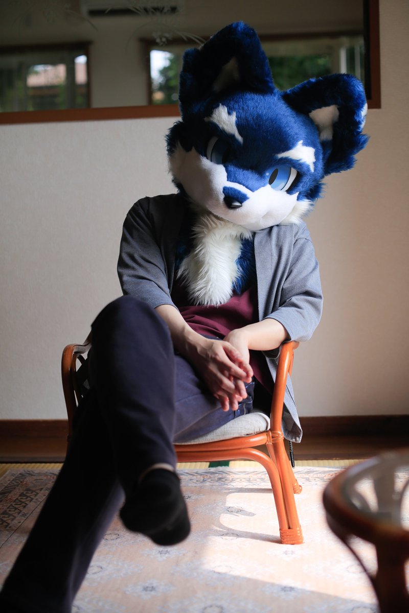 申し訳ございません！9月10日に値上げ決定m(_ _)mウルフミックスファー 申し訳ございません！9月10日に値上げ決定m(_ _)mウルフミックス
