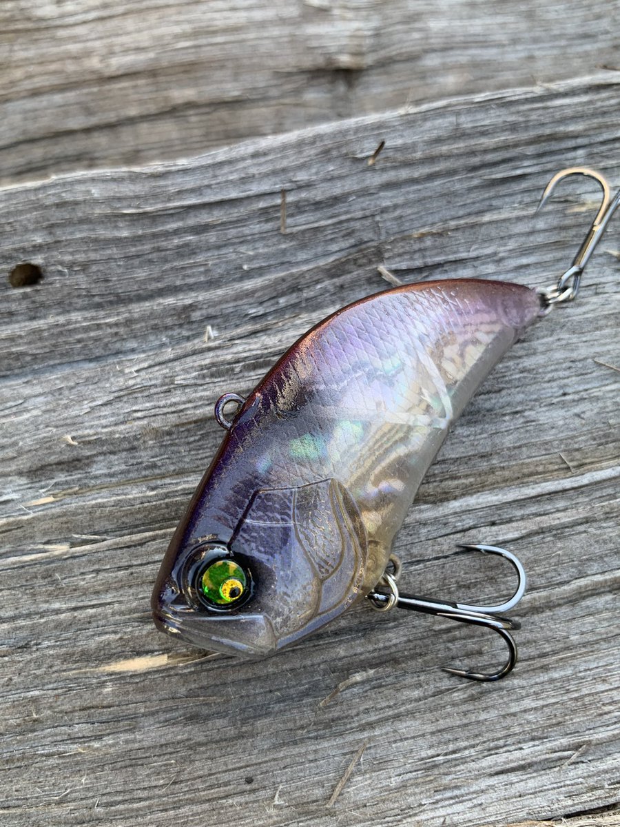 JTL7124's tweet image. レベルバイブビッグのリペイント仕上がりました。ニュージーランドアワビで怪しい感じです🐟 jumping-tomato-lures.com/?p=7258