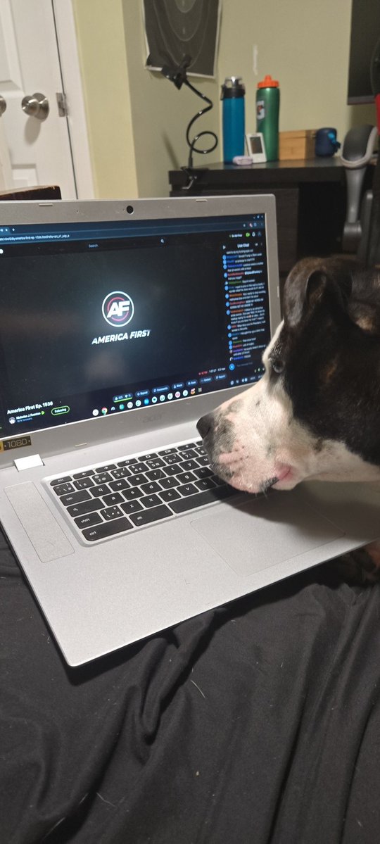 THEHOCKEYNEWS8's tweet image. W dog