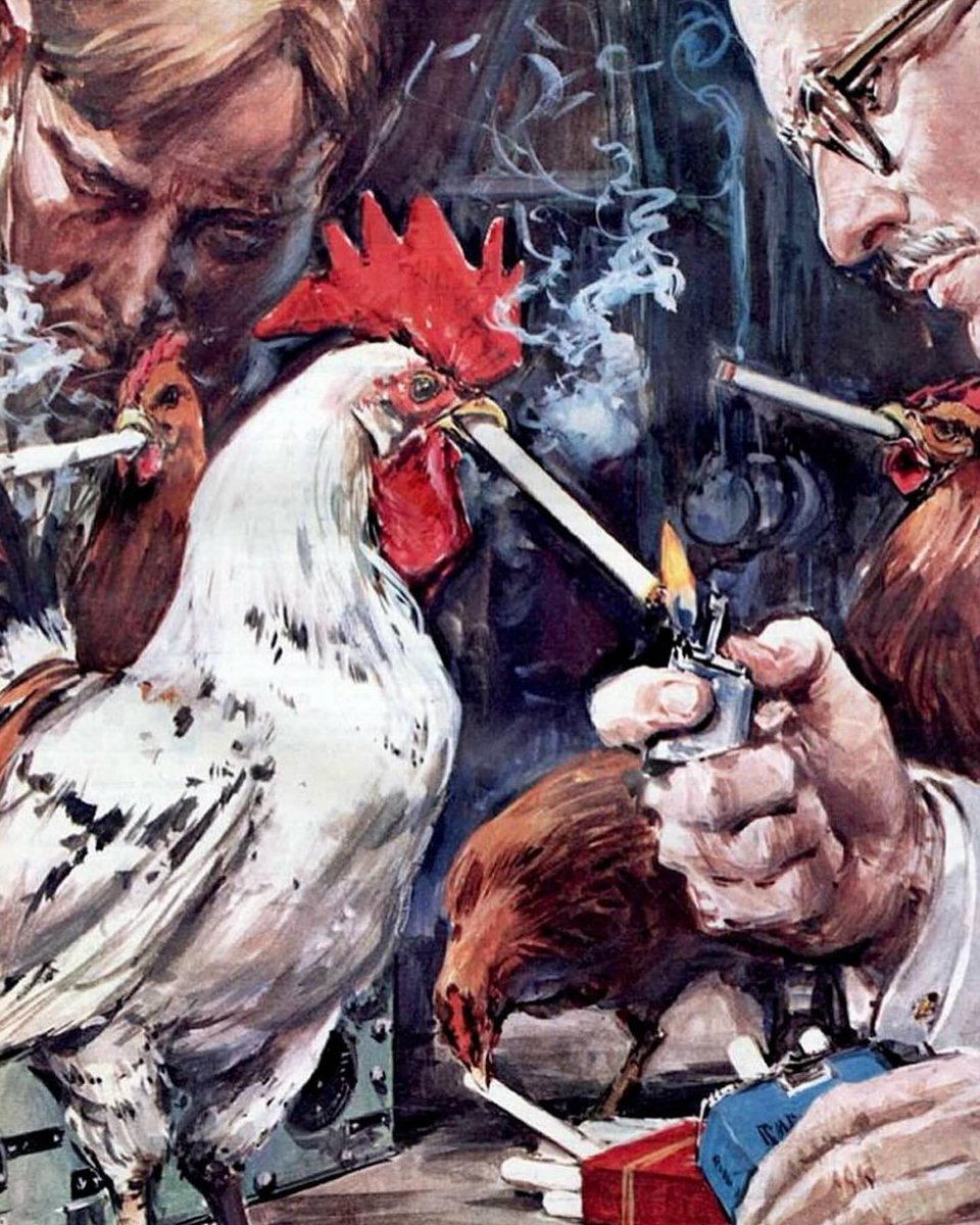 wil michael tweet media