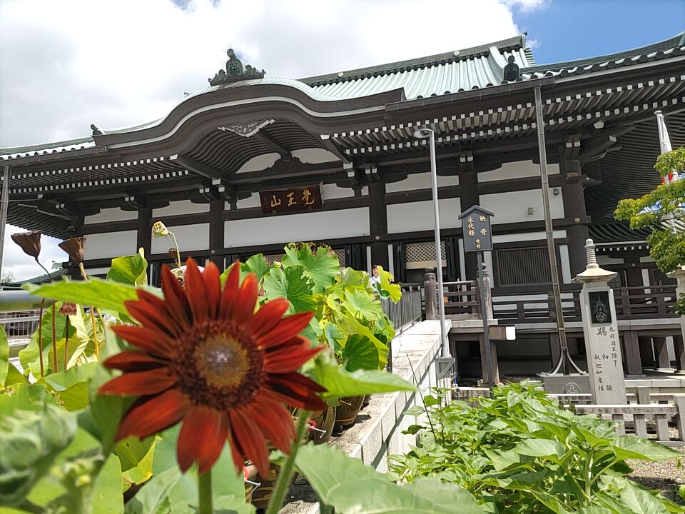 AICHI_KURETAKE's tweet image. 覚王山日泰寺の縁日。だんご屋さん、托鉢のお坊さん、八百屋の僕、霊場巡りのおじいさん、和菓子屋さん、会話が楽しい、関りが嬉しい。

名古屋・青木亮
aoki.counseling1.jp/2025/07/22/sho…

#覚王山日泰寺 #弘法さん #名古屋市千種区 #つるや #梅花堂 #覚王山日泰寺八十八箇所霊場めぐり #醤油味のみたらし団子