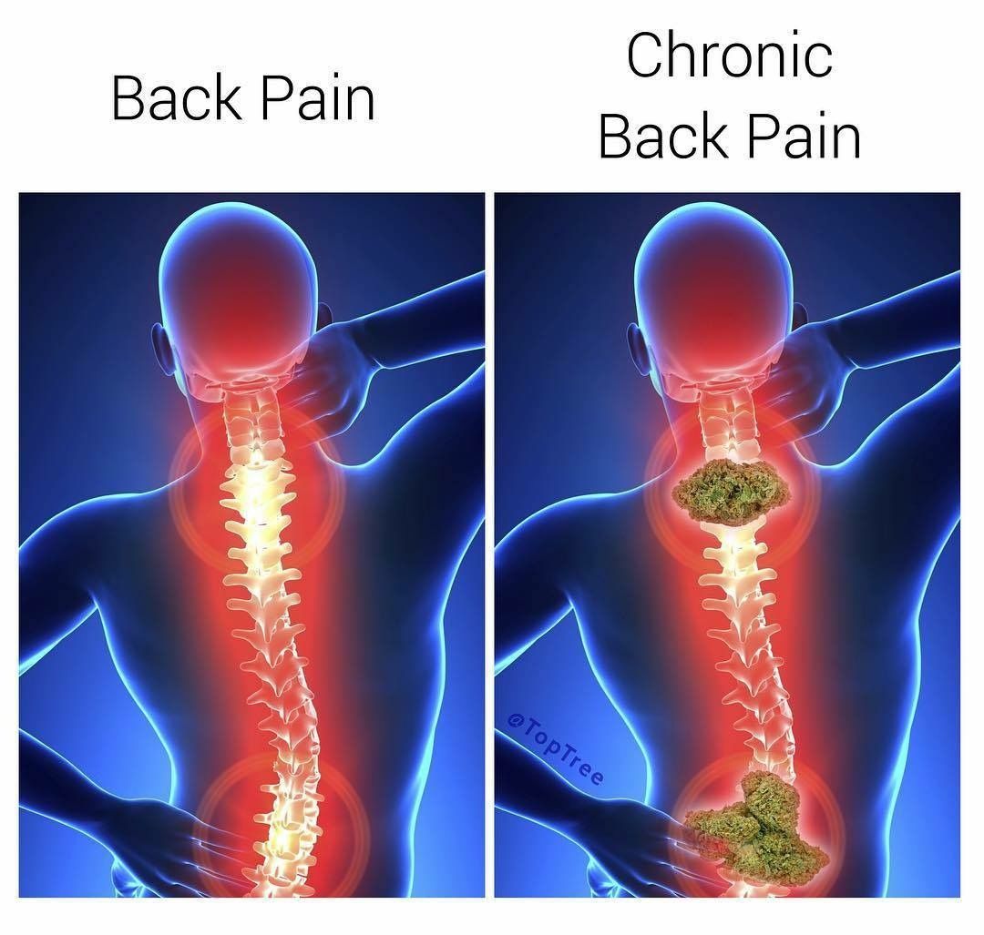 MojoResin's tweet image. GN warriors! Really overdid it outside today, but I had to take advantage of both the weather and opening in our family's crazy ass schedule.
And now I get to pay for it all with a night listening to my back screaming obscenities at me. A lil chronic vs. chronic may help. 🤘😗💨