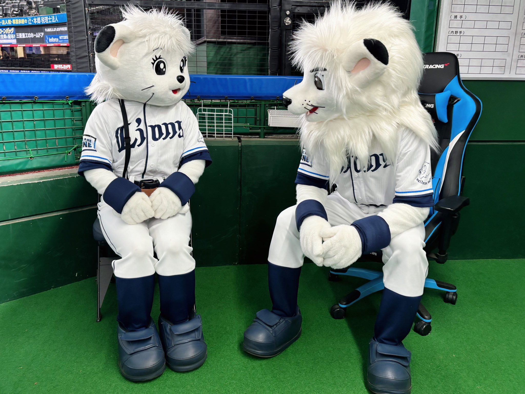 埼玉西武ライオンズ てのり レオ・ライナ ぬいぐるみ 埼玉西武ライオンズ てのり レオ・ライナ ぬいぐるみ お座りレオ