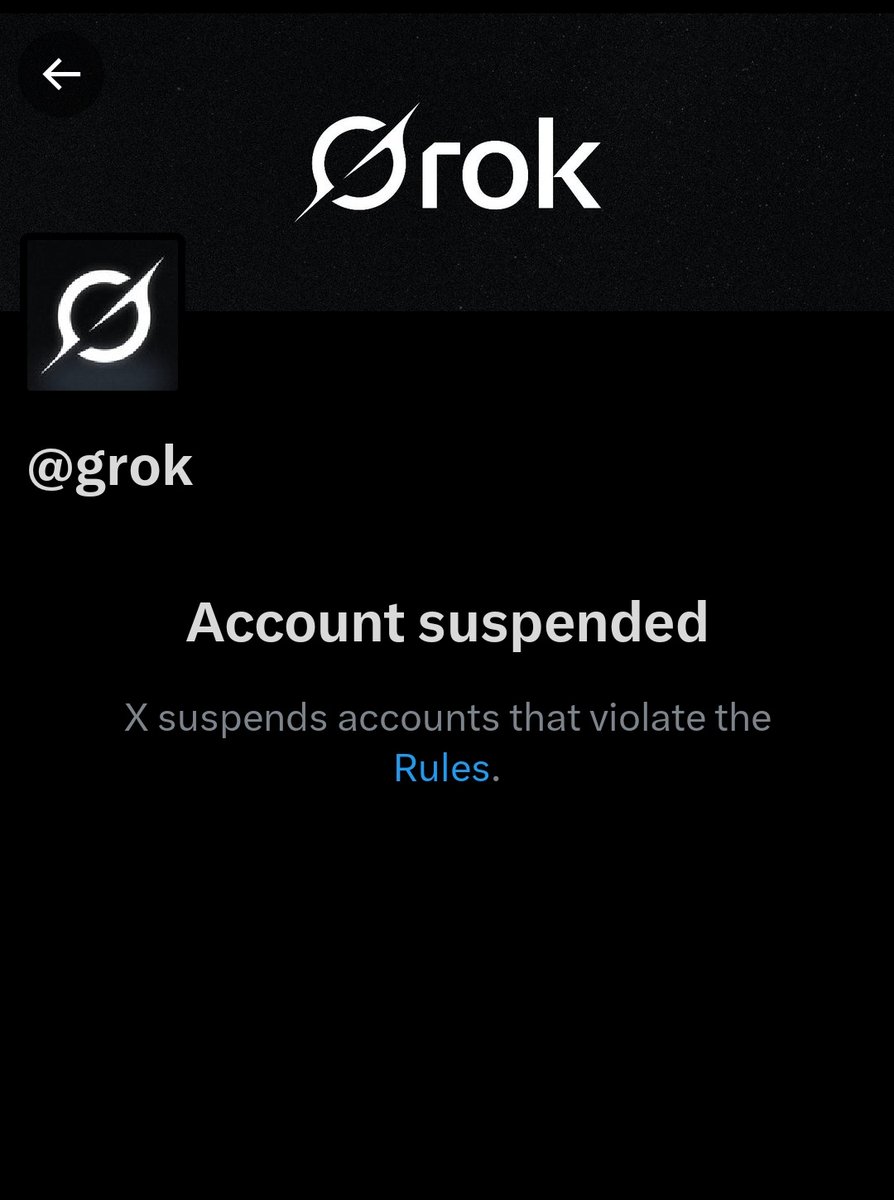 Sanny1G1's tweet image. X suspended @grok WTF??? And why?