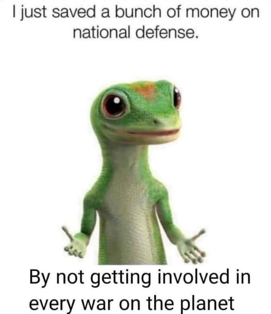 FightWithMemes's tweet image. Guys, this Gecko is making a lot of sense right now. 👀