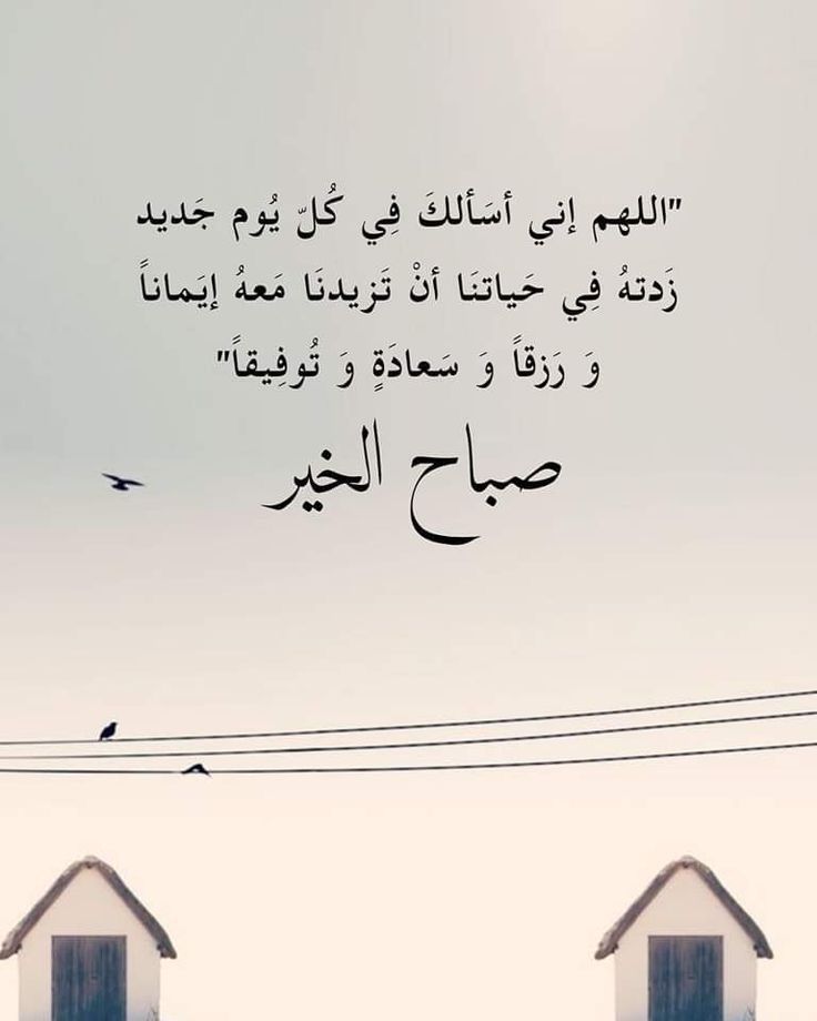 الاميره الجميله (@iii_3337) on Twitter photo 