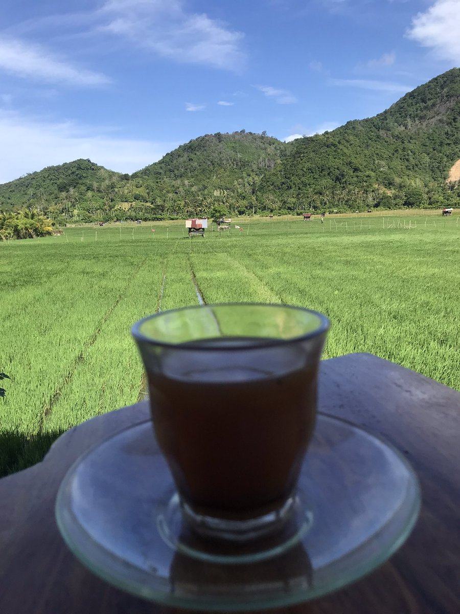 Ngopi dengan pemandangan sawah gini bikin nyaman, tenang, dan segar karena anginnya. Ini ada di Markaz Kupi Lampisang’ depan Rumoh Cut Nyak Dien Peukan Bada, Aceh Besar.