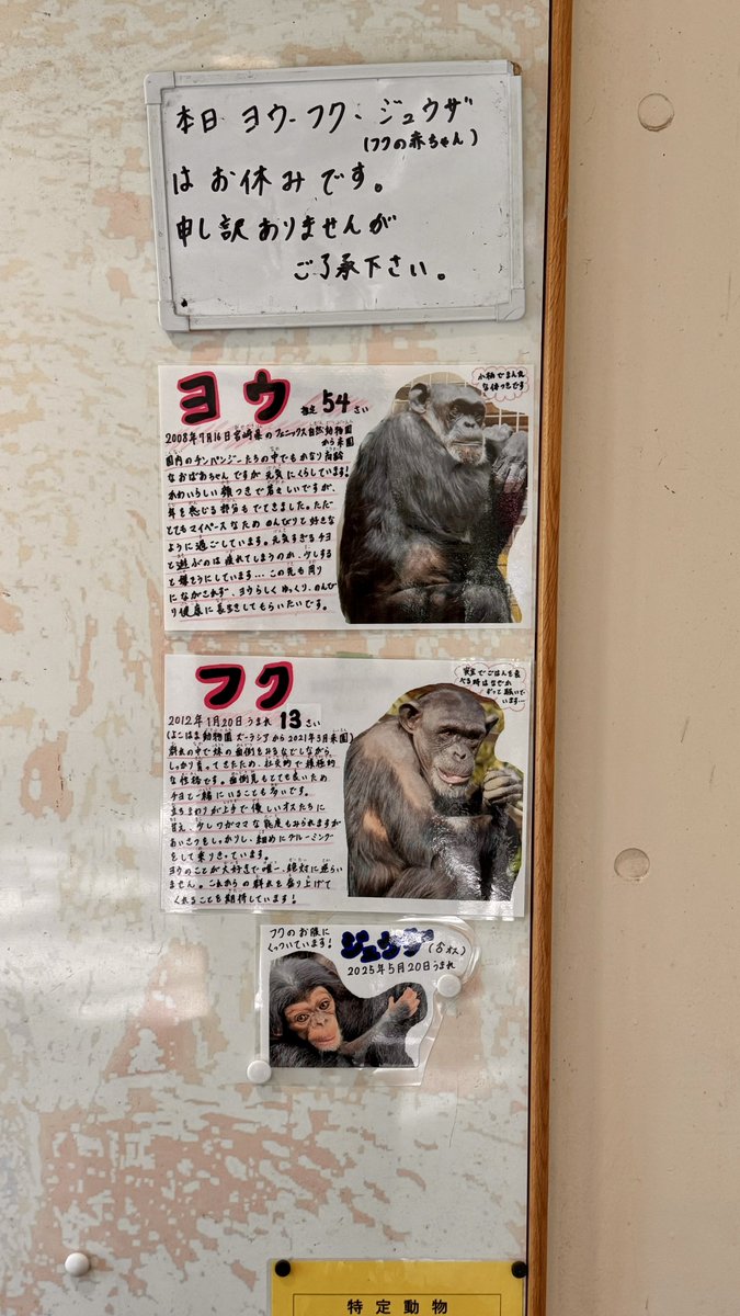 fmhdicmr's tweet image. 残念すぎる…
でもメチャ暑いから納得です。
またね😊
