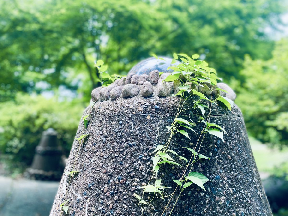 Tsm7Wk's tweet image. いつもの公園