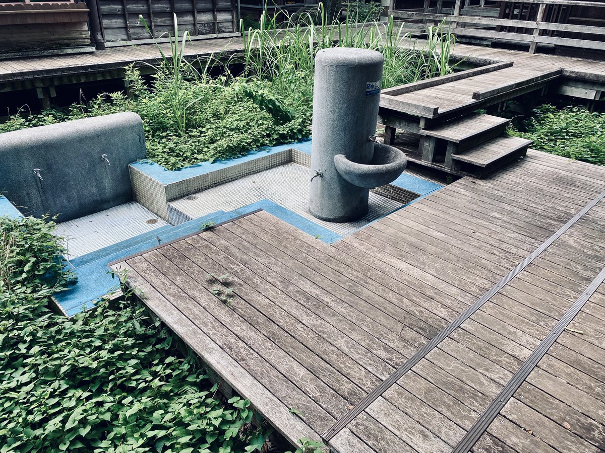 Tsm7Wk's tweet image. いつもの公園