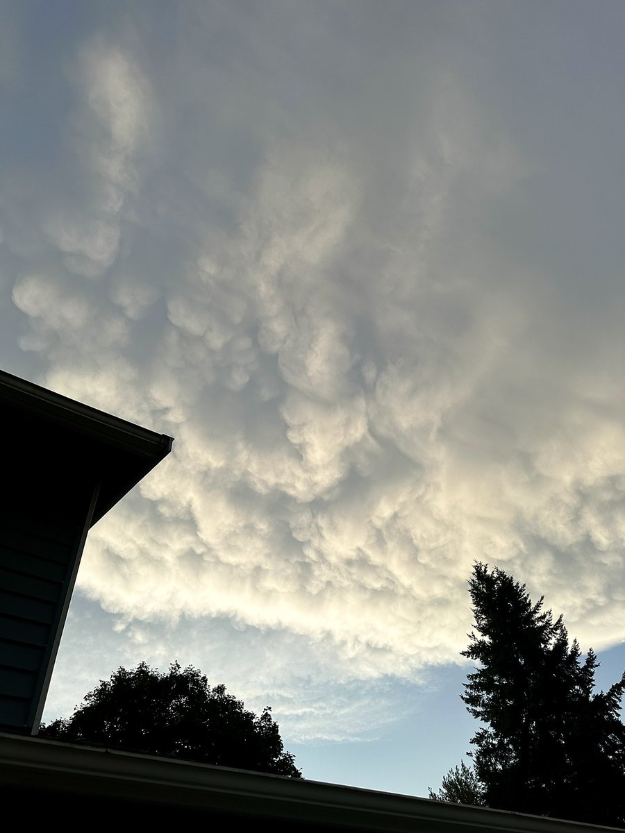 weatherchaser5's tweet image. Mammatus near downtown Bothell #wawx