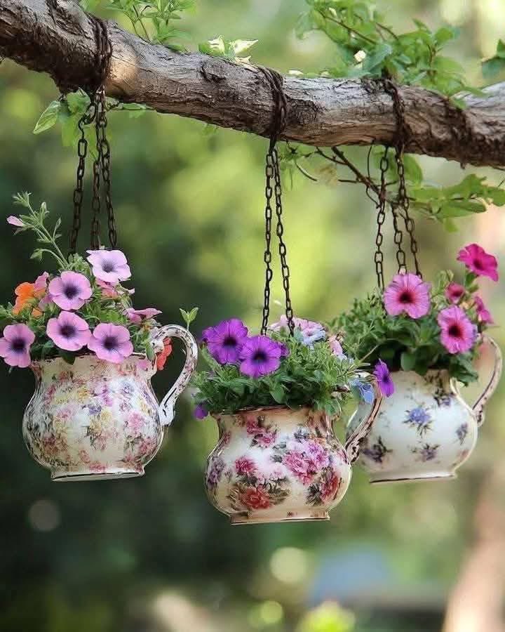 "Allah'ım mülkün tek sahibi sensin.

Hakkımızda hayırlı olanı nasip et." 🤲

#Günaydın
#salı