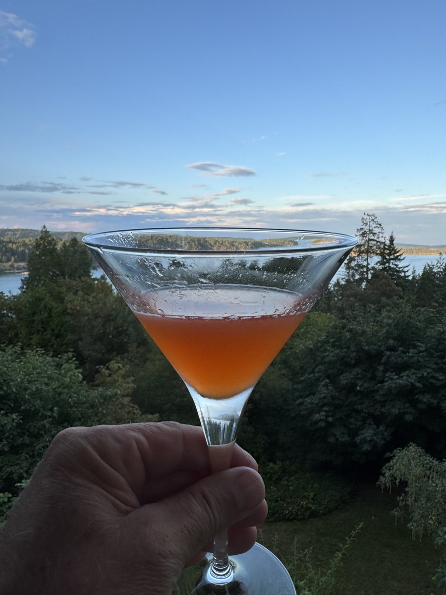 Created a #Bitcoin drink… tastes like freedom! Cheers!!🥂