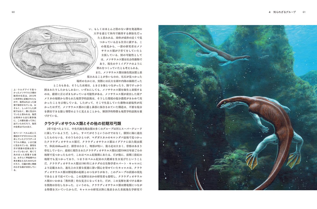ダレン・ナイシュ 群馬県立自然史博物館監修 梅田智世訳『太古の海の