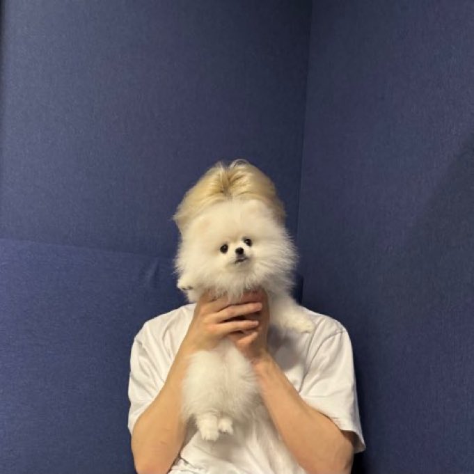 sjhfilters's tweet image. Junghwan new profile pic with candy 🤍