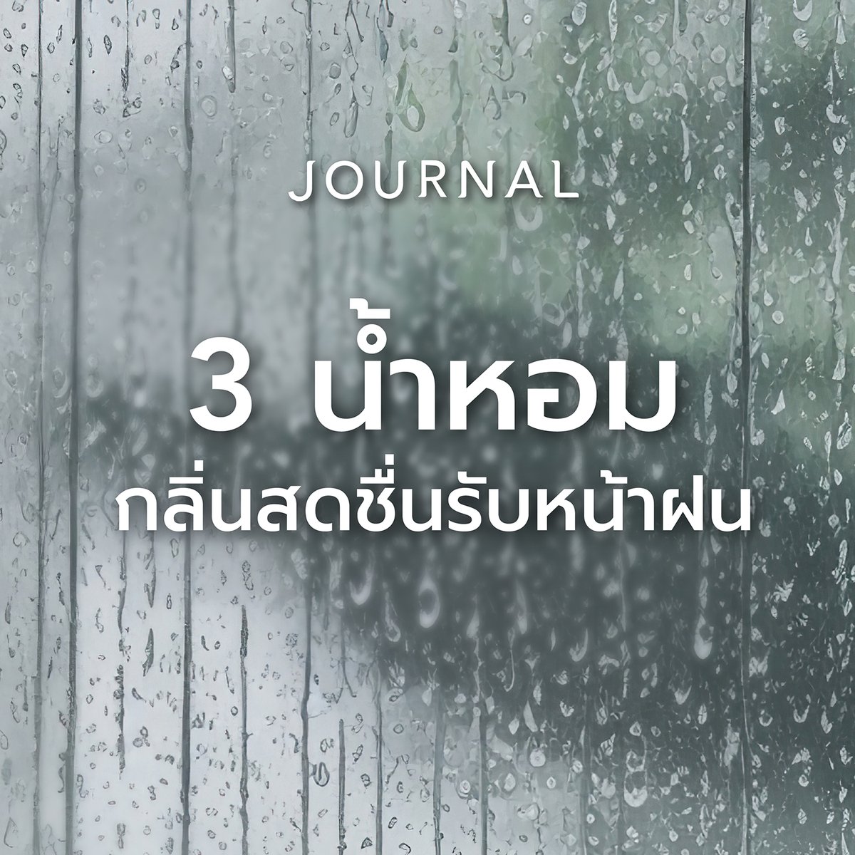 journalperfume's tweet image. 3 กลิ่นน้ำหอมกลิ่นสดชื่น ที่เหมาะมากกับหน้าฝนนี้
🍋 CHARM
กลิ่นหอมแบบธรรมชาติ สะอาด เหมือนยืนอยู่ท่ามกลางผืนป่าที่อุดมสมบูรณ์
🍊 PROMISE
หอมสดชื่นแบบ citrus ผสมกลิ่น Fruity จาก Pomelo สดใสแบบ tropical rain
🌿 NIMMANHEAMIN
กลิ่นหอมสดชื่น เหมือนเดินอยู่ในย่านนิมมานฯ…