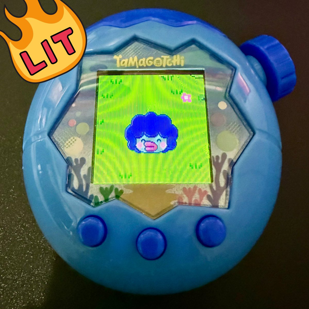 P_Light's tweet image. たまごっちパラダイス、とぱさんに進化した🤣