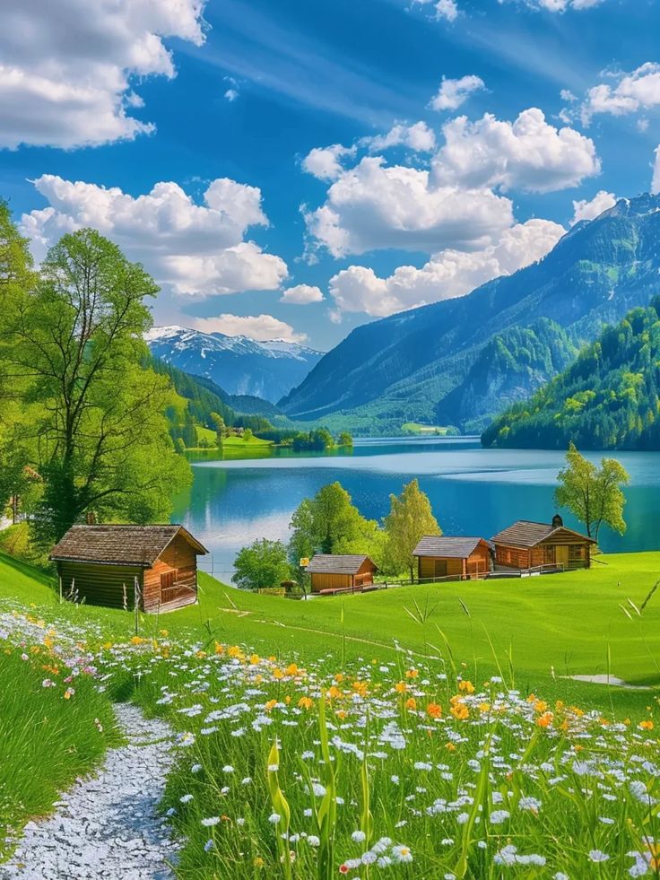 swissmountain08's tweet image. 