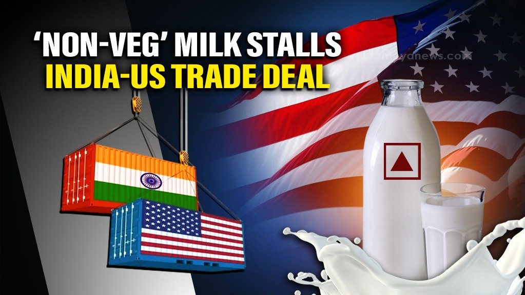 India refused to sign dairy products trade deal with US for the untagged non-veg dairy products like milk is sourced from cows which are fed dead cows.

In US, the animal feed given to the cows is full of dead animals and waste from the slaughter houses. The GMO crops are also