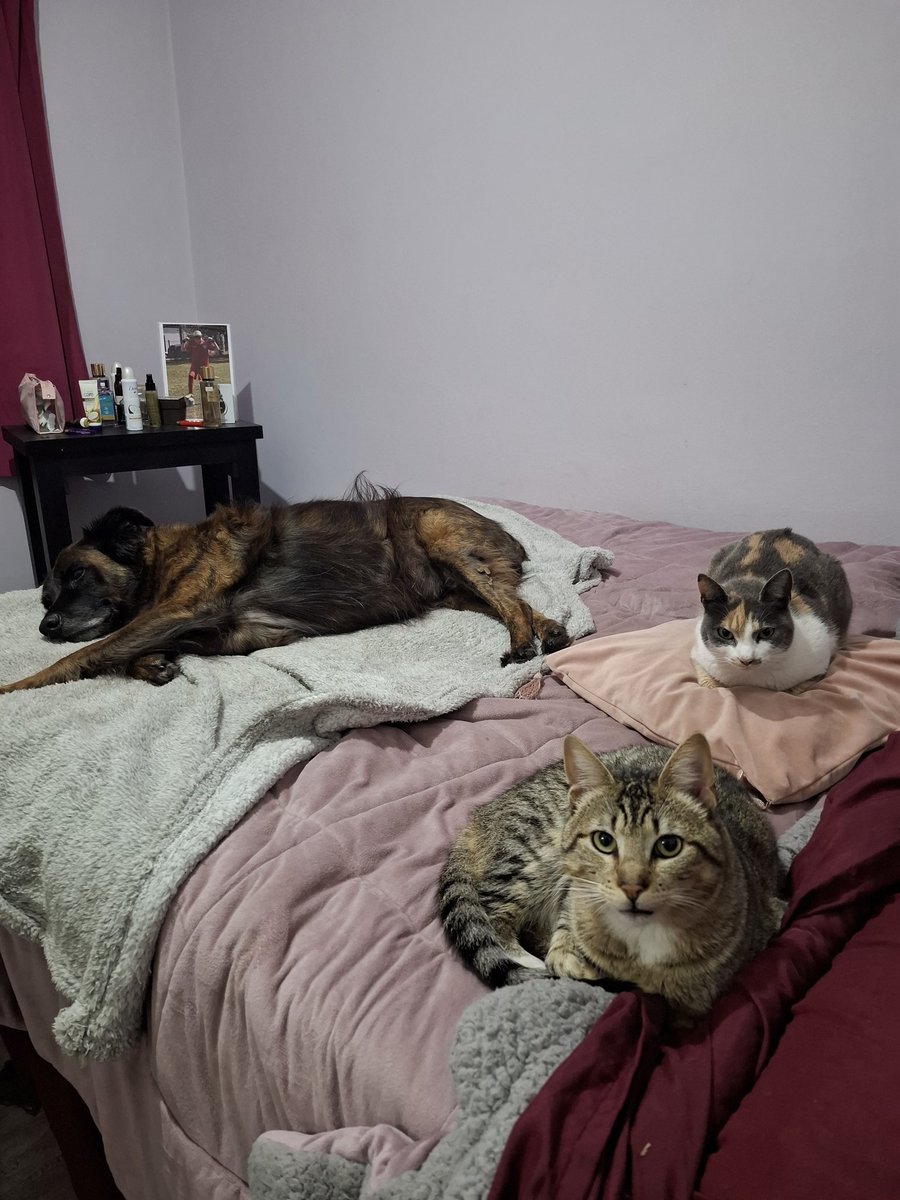 Llegar a casa 🥹❤️‍🩹