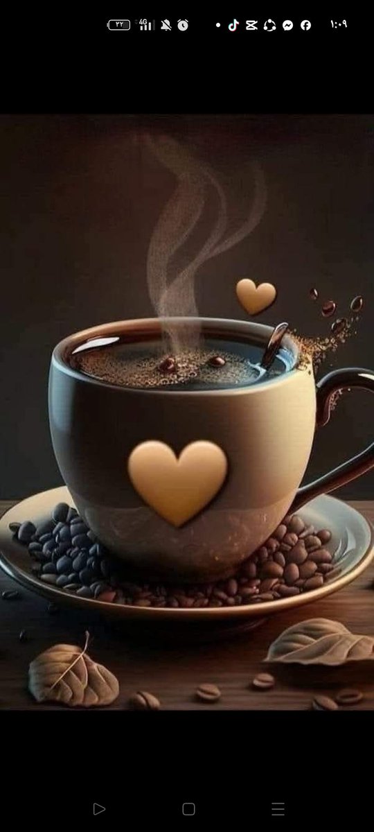 صباح الفل على الأهلي و الأهلاوية 🦅