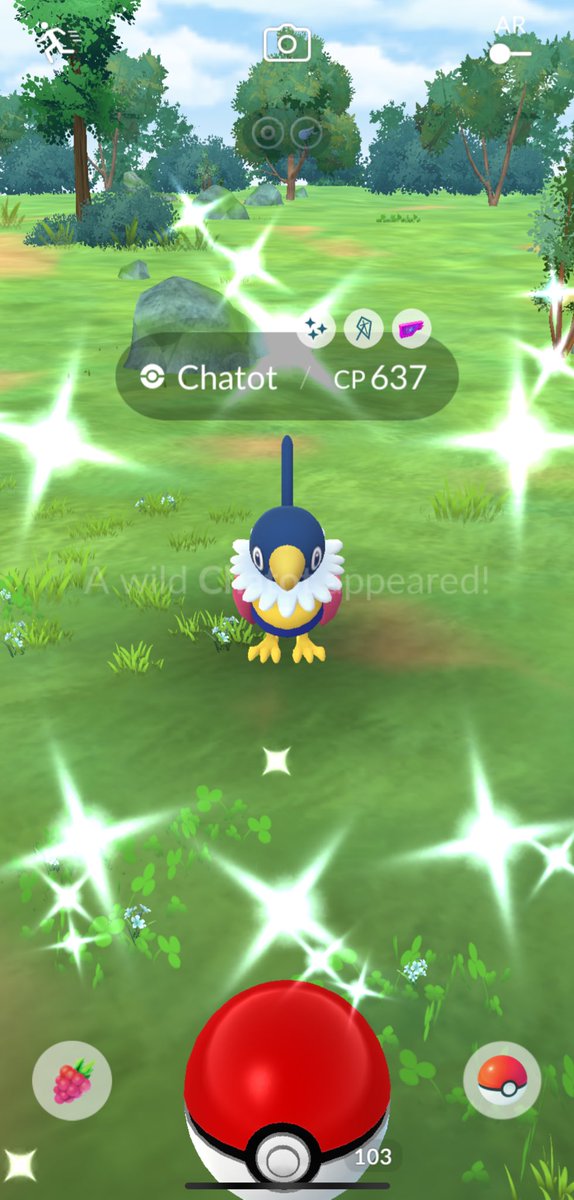 Starbucks run and you get your first shiny Chatot😍