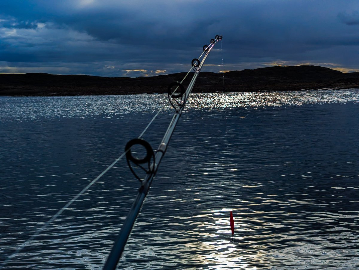FrankReardon1's tweet image. Went Char fishing tonight but came home dry. Hooked a few but never got any landed. #Iqaluit #SylviaGrinnellย River JUL.21.2025 #ShareYourWeather
