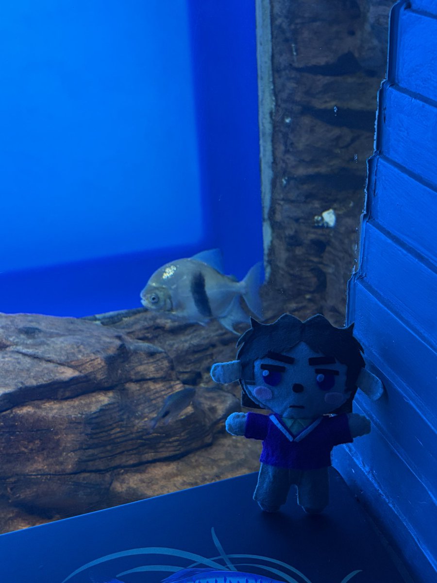 kirt 🐹🍉 tweet media