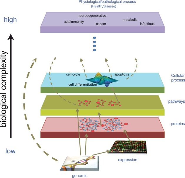 Ryansikorski10's tweet image. The Scalable Precision Medicine Open Knowledge Engine (SPOKE): a massive knowledge graph of biomedical information
A biomedical Knowledge Graph (KG) connecting millions of concepts via semantically meaningful relationships. SPOKE contains 27 million nodes of 21 different types…