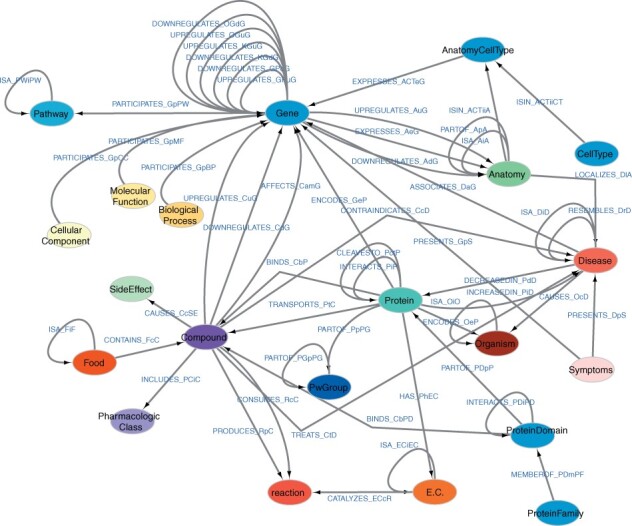 Ryansikorski10's tweet image. The Scalable Precision Medicine Open Knowledge Engine (SPOKE): a massive knowledge graph of biomedical information
A biomedical Knowledge Graph (KG) connecting millions of concepts via semantically meaningful relationships. SPOKE contains 27 million nodes of 21 different types…