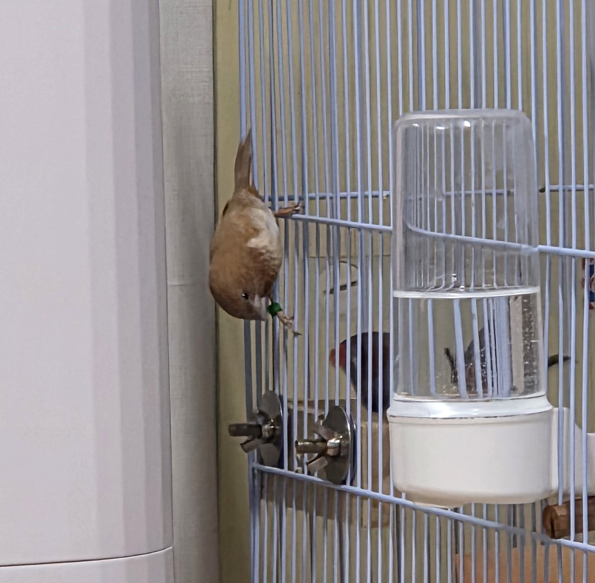 small_dduck's tweet image. 둘이 계속 로미오와 줄리엣을 찍는다