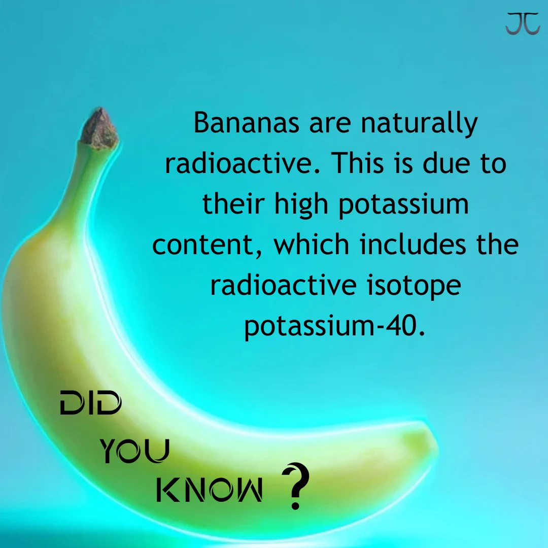 Bananas are naturally radioactive! ☢️
Thanks to their high potassium levels — especially Potassium-40, a radioactive isotope — bananas can technically set off radiation detectors (but don’t worry, they’re perfectly safe to eat!).
Science is bananas sometimes! 🤯🍌

#DidYouKnow
#BananaFacts
#FunWithScience
#PotassiumPower
#RadioactiveBanana
#ScienceIsFun
#WeirdScience
#LearnEveryday
#CuriousFacts
#BeyondTheObvious
#NerdAlert
#InterestingFacts
#FoodFacts
#MindBlown
#ScienceTrivia