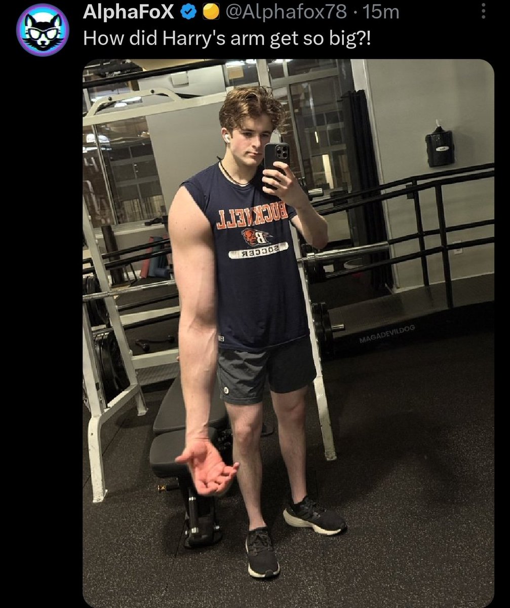 MAGADevilDog's tweet image. All this f@ggot does is jack people's sh*t.
Another ripoff artist.
I always find it funny how these accounts get so big, yet don't create their own content.
🤡🌎