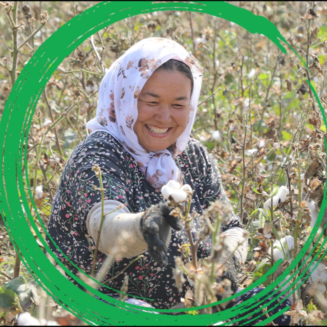 WorldBank's tweet image. Reforms in #Uzbekistan’s cotton sector backed by the @WorldBank and @ILO have improved livelihoods across rural areas. Women like Inoyatkhon are now working under better conditions: wrld.bg/RRLc50Wqf25