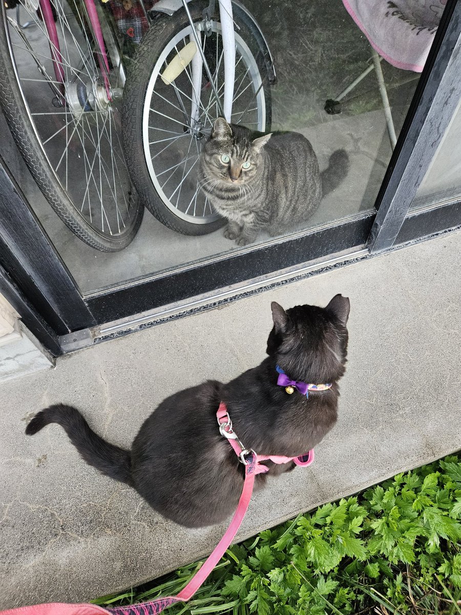 父子のご対面＼(^-^)／可愛いね＼(^-^)／こたろうはママ似ですけど（笑）