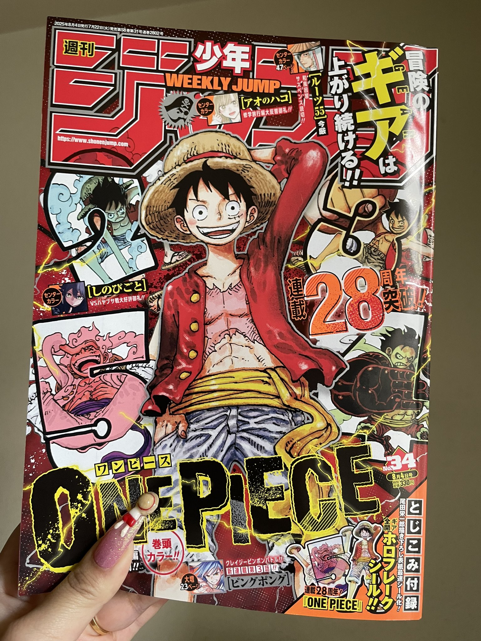 その他 ONE PIECE 28 919kSrNG7+L._UF1000,1000_QL80_.jpg