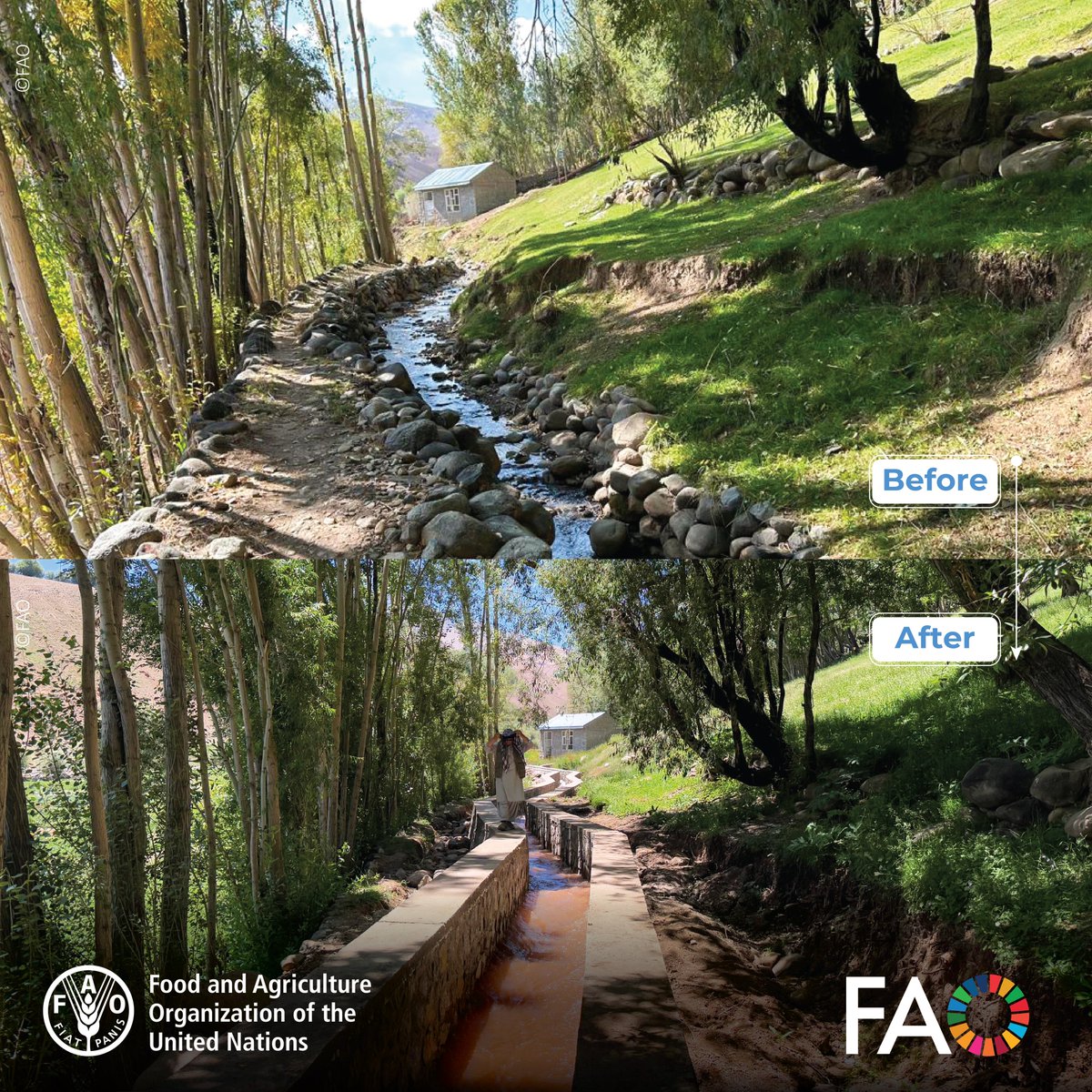 FAOAfghanistan's tweet image. With @WorldBank support, @FAO rehabilitated 1.8 km of irrigation canal in Bamyan, bringing water to homes and farmland. More than 680 people, including 55 women, gained short-term jobs during its restoration.
#EveryDropCounts 💧